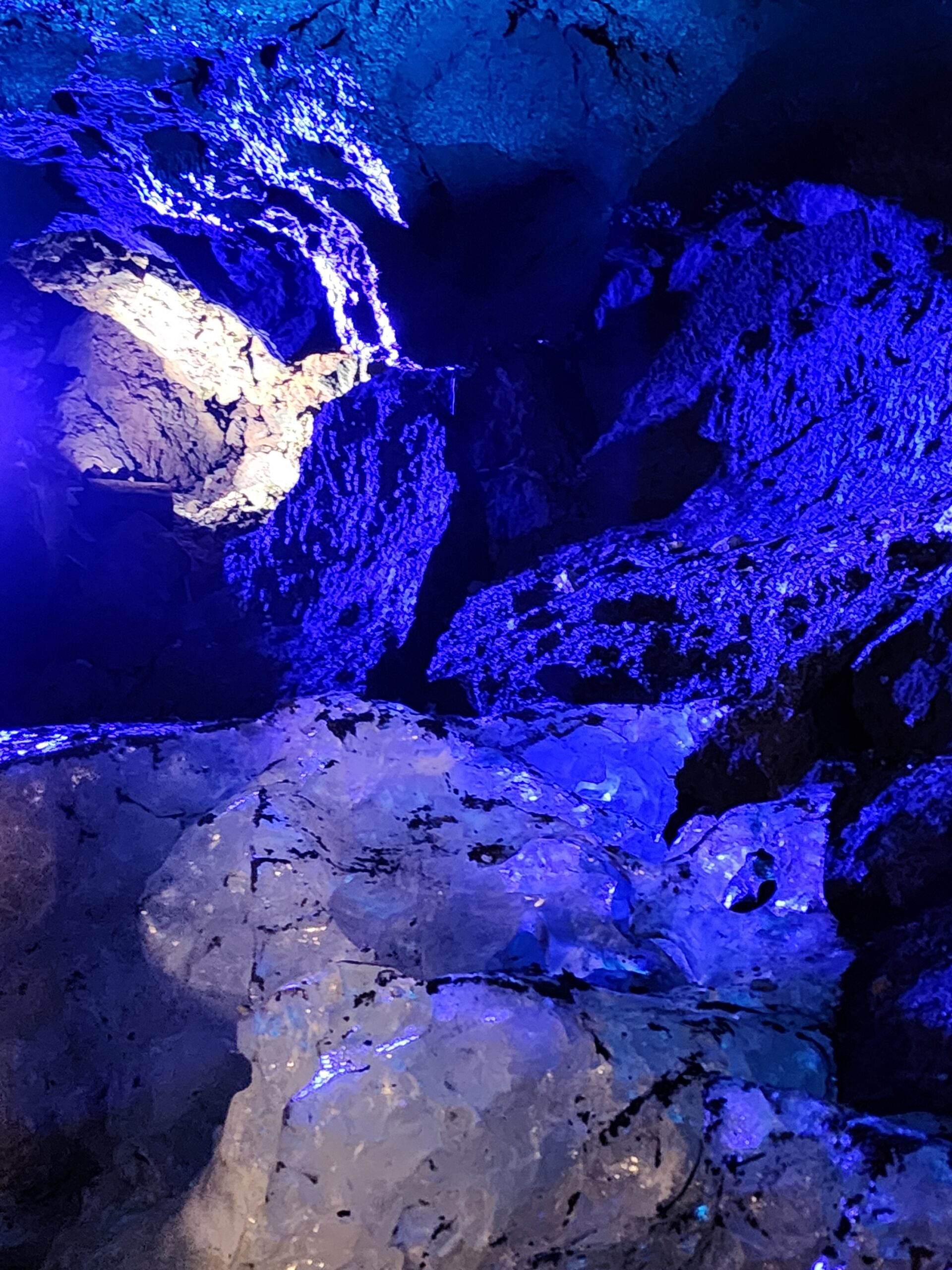 茶臼山号内部の夜のくつろぎ空間