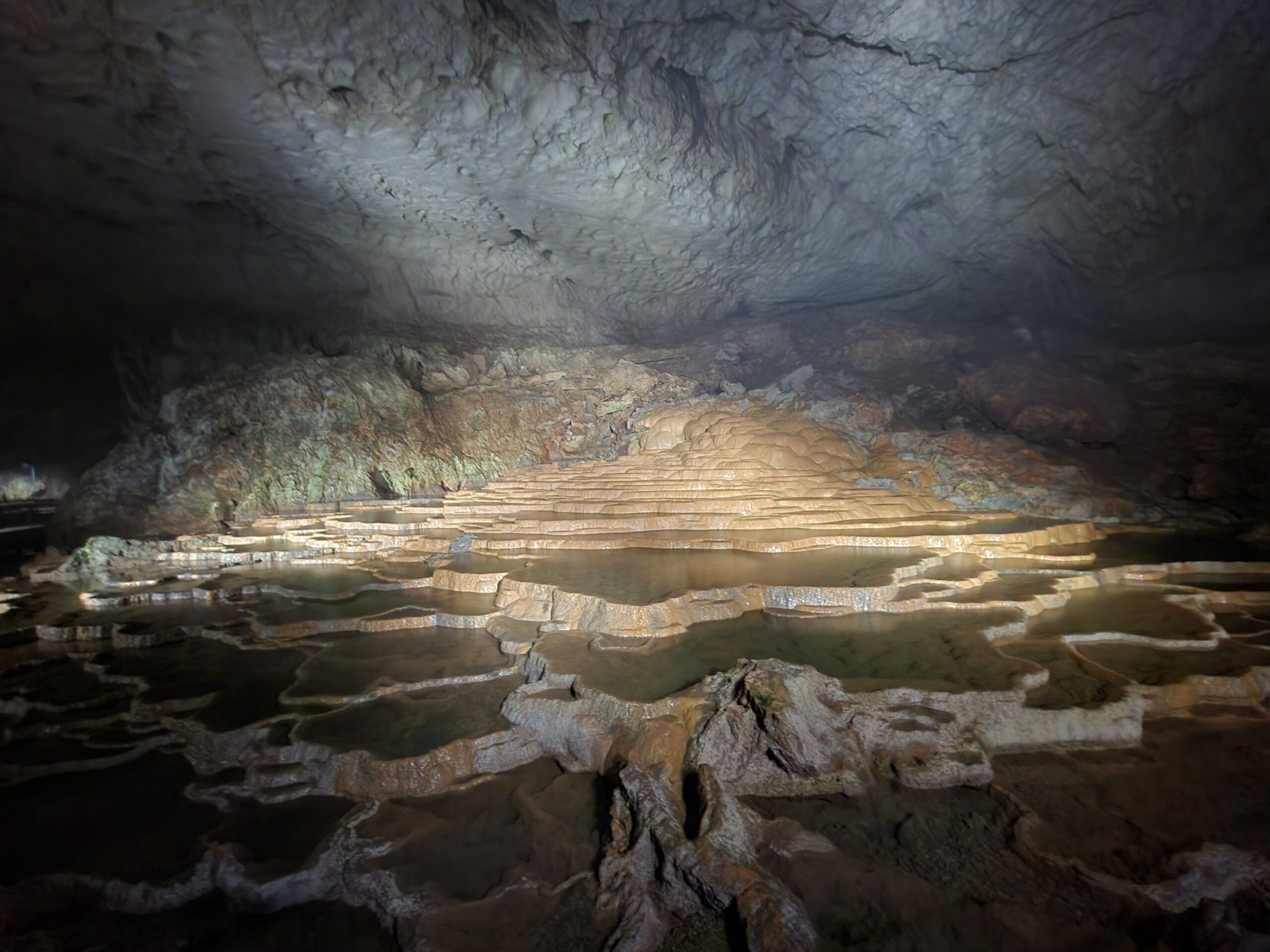 茶臼山号の快適なベッドでくつろぐ様子