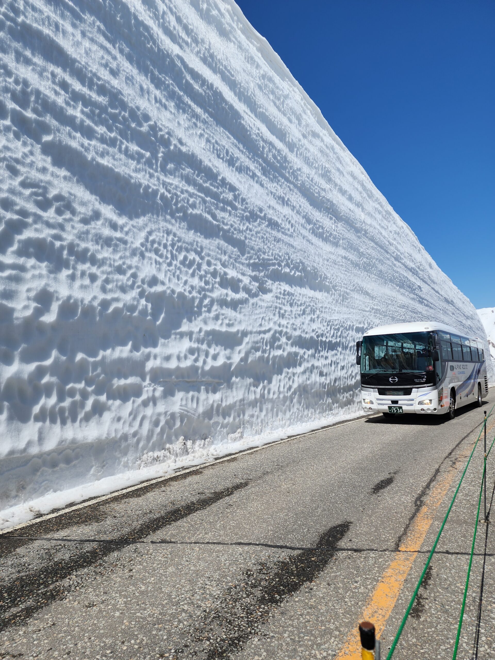 歴史ある城を背景にした茶臼山号